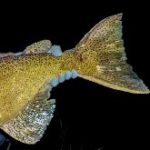 20161004-_jajdscn0159t