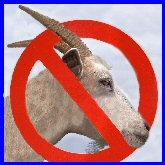 no-goat-t
