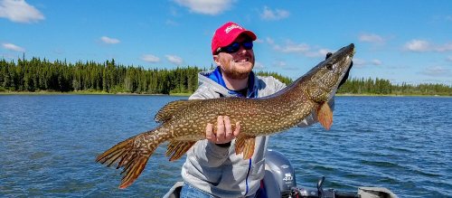 20160620-_jaj6033-dphone