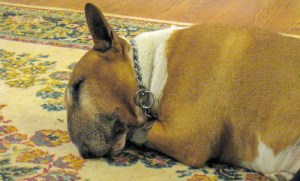 20120205-clamps-sleeping