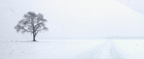 20140201-20140201_125119