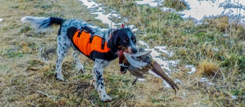 20170102-20161230-dscn0240