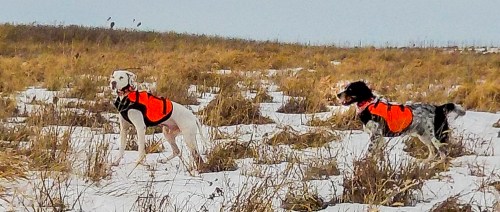 20170102-20161230-dscn0245